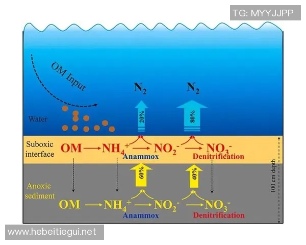 武汉羽毛球队灵活性分析与战术调整的深度探讨