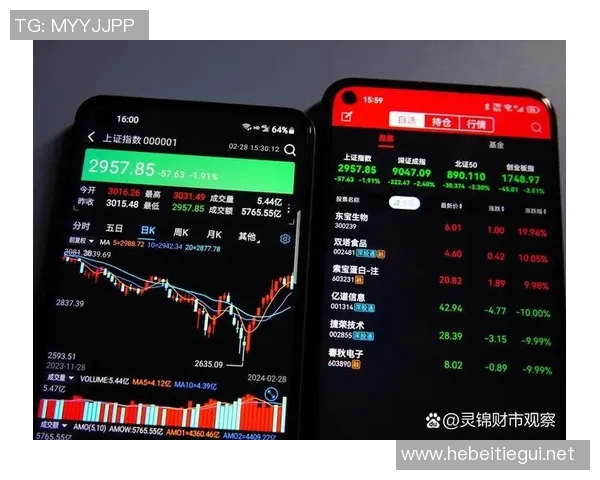 广州羽毛球队运营分析：成功经验与面临挑战的深度探讨