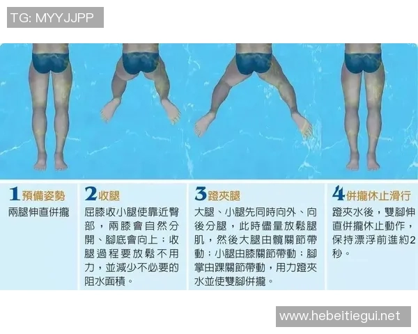 蛙泳基本动作解析与技巧训练方法全攻略