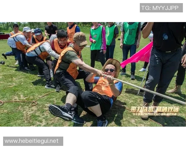 V5在挑战者杯中的团队协作表现分析与评价