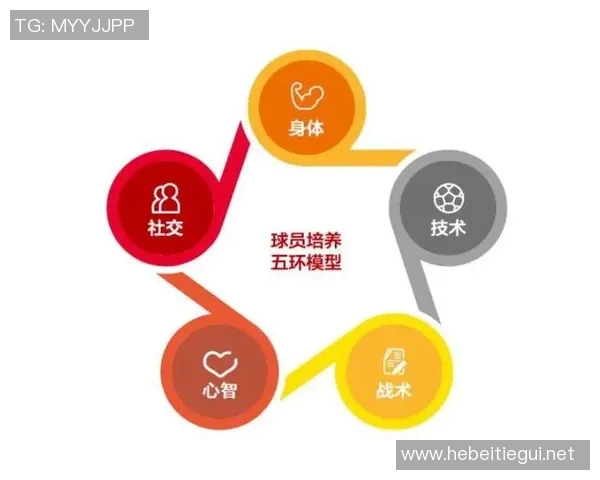 足球青训体系的现状与发展趋势