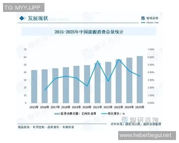 LNG市场灵活性分析及其对全球能源格局的影响探讨