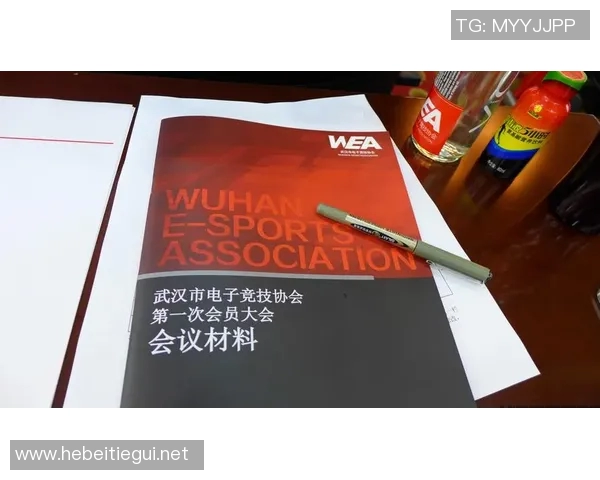 刘敏专访：从职业赛场到电竞文化的传承与发展之路
