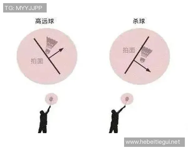 从零基础到高手之路羽毛球技术全方位提升指南 从零基础到高手之路羽毛球技术全方位提升指南
